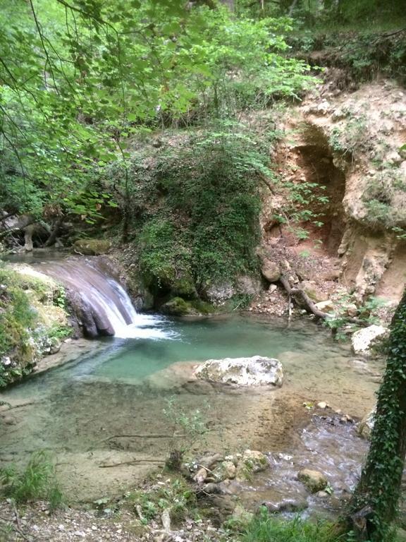 Mymoustiers *