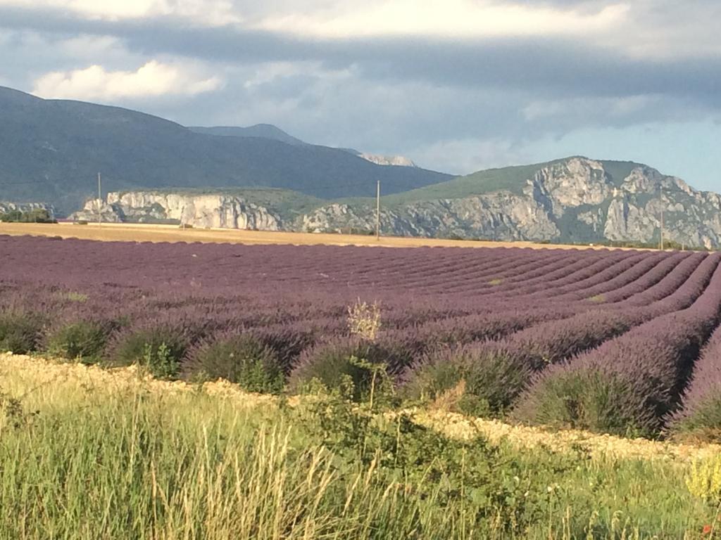 Bergerie De Charme à *